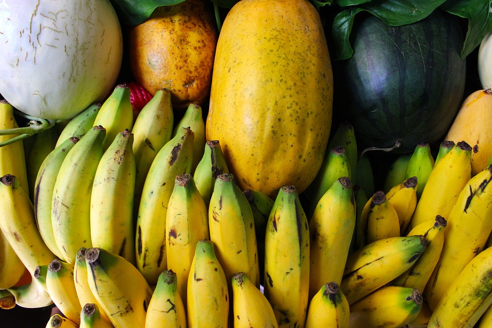 fruit
