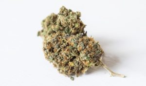 weed
