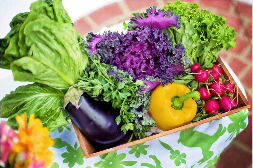 different vegetables